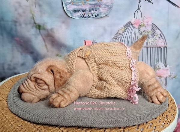 Benni Simon Laurens  (7)